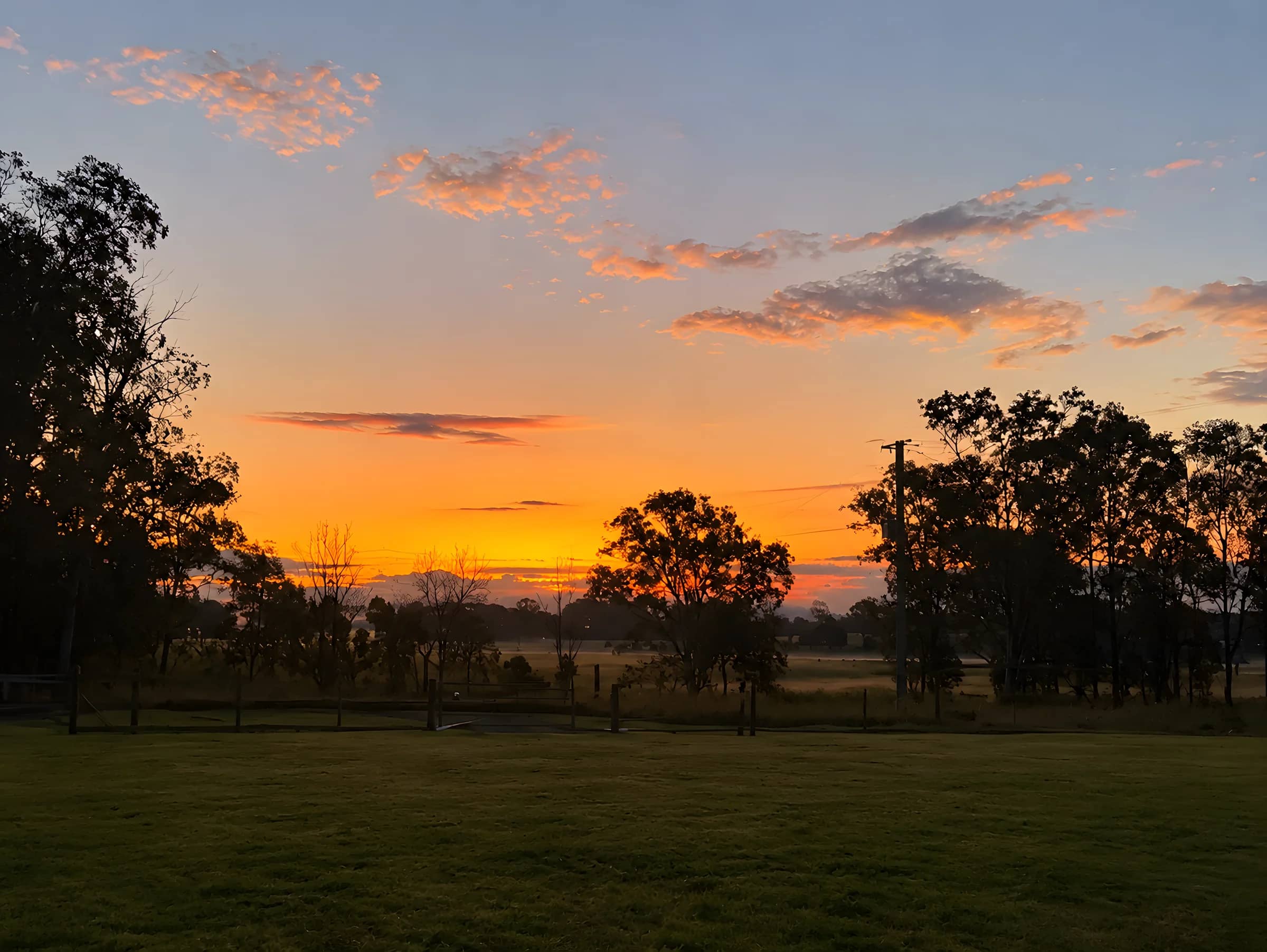 An orange sunset over the paddock, with trees in silhouette along the fence line
