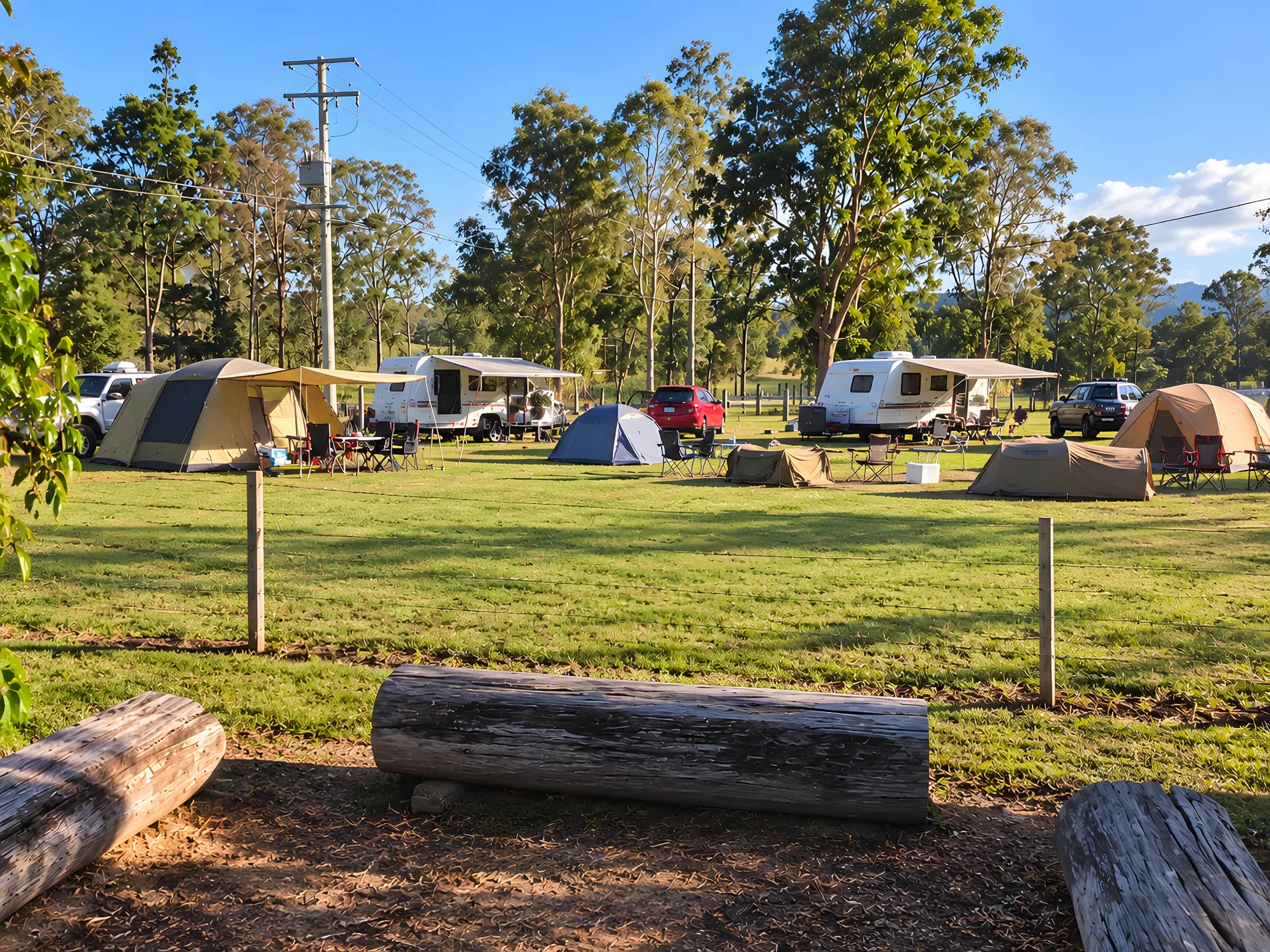Caravans, camper trailers and tents spread out across the grassy paddock